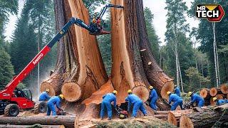 Extreme Dangerous Fastest Big Chainsaw Cutting Tree Machines | Monster Stump Removal Excavator #66