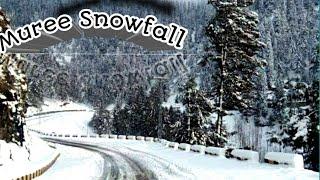 Muree Snow Fall |NatiaGali Snowfall| Spending A Day In muree Nathiagali