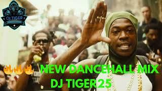 NEW DANCEHALL MIX 2024 DJ TIGER25 FT SKILLIBENG,SKENG,VYBZ,HIT&RUN,BYRON,GOVANA