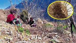 Amazingaly  Beautiful Nepali Mountain Life||Very Hard Lifestyle Of Nepali Village ||@RURALLIFENEPAL