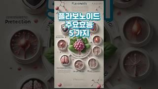 플라보노이드 효능 5가지     #플라보노이드