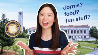 All you need to know about UC Berkeley: dorms, restaurants, fun activities, & more!  | STUDENT LIFE