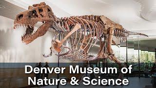 Denver Museum of Nature & Science, Denver, Colorado