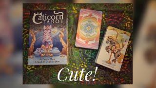 Caticorn Tarot ~ Walkthrough & First Impressions