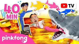 Run Away with Hoi and Sammy | Escape from the Sharks + More | Animal Songs | Official Pinkfong