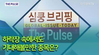 하락장 속에서도 기대해볼만한 종목은? / THE PULSE  / 한국경제TV