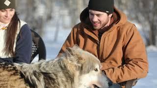 Interactive Tour at the Yamnuska Wolfdog Sanctuary