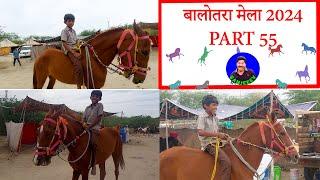 मस्तराम छोटू सवार  - पार्ट 55 Balotra Horse Market 2024 Tilwada Pashu Mela Horse Sale Price Video