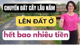 Cách tính tiền phải nộp khi chuyển đất cây lâu năm lên đất ở | Đoàn Dung