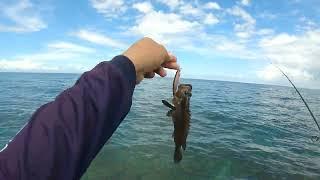 May pang ulam na | Ultralight fishing in the Philippines| Shore Casting