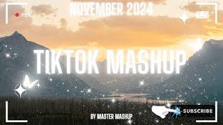  TIKTOK MASHUP  NOVEMBER 2024  (not clean) 