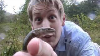 Britain in Cold Blood with Ben Waddams - The Modern Day Dinosaurs (and Snakes) of Britain