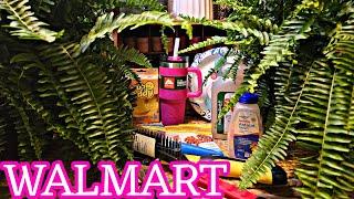 WALMART HAUL | GARDEN AND BASICS