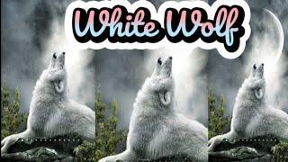 White Wolf