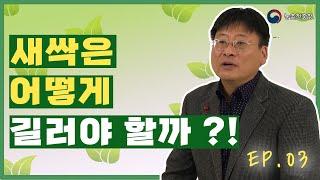 채소계의 슈퍼스타, 새싹채소 기르기 - 씨앗 기르는 방법