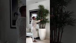 Natural Art: Transform Your Space with Various Artificial Bonsai Tree Plants丨For Interior Design