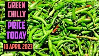 Green Chilli Wholesale Market Price  INDIA Today 10 April 2023