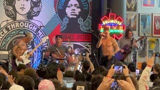 Red Hot Chili Peppers - Amoeba Music - Hollywood, California - Complete show, April 7, 2022