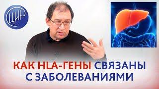 HLA-гены и их связь с заболеваниями. Гемохроматоз, адреногенитальный синдром. Гузов И.И.