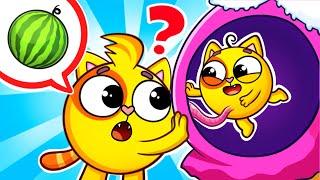 New Sibling Song  Meet Our Baby Brother | Kids Songs  And Nursery Rhymes by Baby Zoo