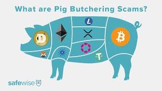 Pig butchering scams are just as scary as they sound