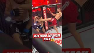 ЖЕСТКИЙ ПЕРЕЛОМ НОСА | @hfcmma #хардкор #нокаут #попмма #popmma #ufc #mma #mmafighter #hardcore