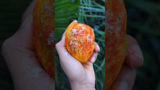 Spicy Masala Mango | Mango Recipe  #shorts #food #fruit #masala #mango