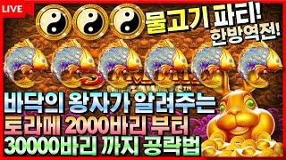 [슬롯]#꼴통슬롯5레빗 메가웨이즈나는야 바닥의왕자~~ 토끼 공략법!!! [프라그마틱][슬롯머신][온라인슬롯][슬롯생방송][슬롯실시간][강원랜드][생방송][슬롯라이브][꼴통슬롯]