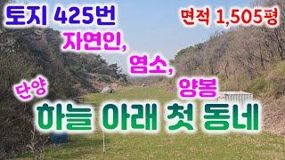 토지425번(급급매물) 전1505평(6900만)싼땅  자연인 토지입니다  현재 컨테이너1동 호두나무 산마늘 010-8827-9285#자연인토지#단양군토지#어상천토지#싼땅#급매물#