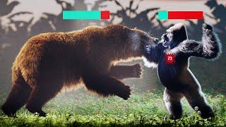 Silverback Gorilla VS Grizzly Bear