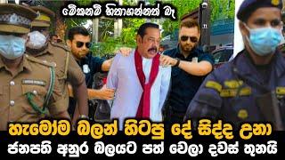 ජනපති අනුර බලයට පත් වෙලා දවස් තුනයි || හැමෝම බලන් හිටපු දේ සිද්ද උනා || paata kurullo 101 ||