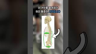 2분이면 당신의 오리궁뎅이 완전 정복 쌉가능!!#shorts #전방경사교정  #스트레칭 누워서도 무릎을 굽히고 파인 허리부분을 배로 눌려 똑같은 원리로도 가능합니다!