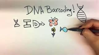 DNA Barcoding