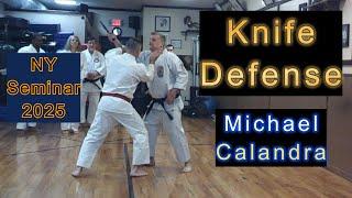 "Knife Defense" Michael Calandra NY Seminar 2025