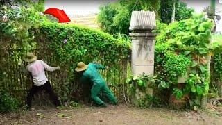 Reviving An Abandoned House With A Secret Gate That Scares Neighbors - Cleaning & Mowing | Clean Up