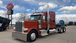 2025 Peterbilt 589 in Golden Amber paint!  Keith Couch 970-691-3877, couchk@rushenterprises.com