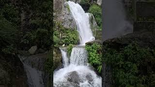 Paglajhora waterfalls, Darjeeling