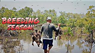 PUGAD NG WILD DUCK! GRABE LALONG DUMAMI! | HUNTING MALLARD | X4 RAF HUNTER EP52 | #hunting #fyp