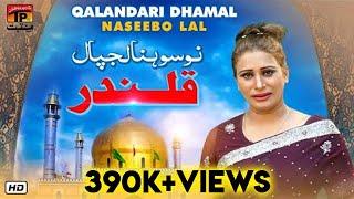 Toon Sonra Lagpal Qalandar | Naseebo Lal | TP Manqabat