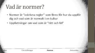 Vad är en kultur?