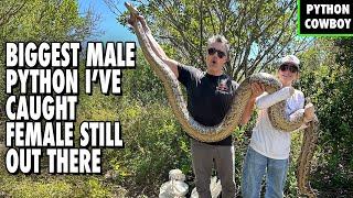 Hunting For A Missing Giant Python—5 Males Down, But She’s Still Out There