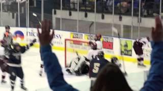 Auburn boys hockey wins Section III, Division II championship