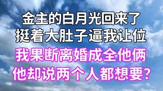 金主的白月光回來了，挺著大肚子逼我讓位！我果斷離婚成全他倆，他卻說兩個人都想要？#一口氣看完 #爽文 #完結 #小說推薦