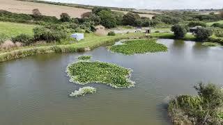 Treveglos Fishing Lake