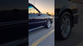 PERFECT Supercharged Foxbody Mustang GT // Toronto Foxbody Club  #foxbodymustang #mustang #car