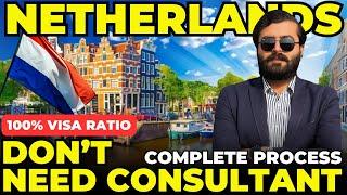 Study in Netherlands 2025 | High Visa Ratio | Complete Process Explained