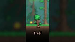 Growing Trees INSTANTLY in Terraria