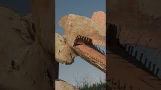Name That Dinosaur #challenge |  #trex  #dino  #trexranch