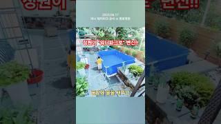 아빠랑 여름 워터파크 준비하기 화분 선물 #shorts"