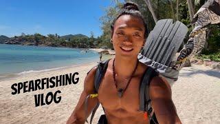 Spearfishing Vlog - Afternoon Shore Dive